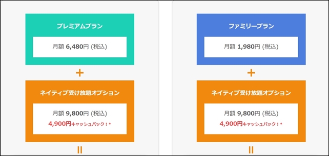 ネイティブ受け放題オプションの価